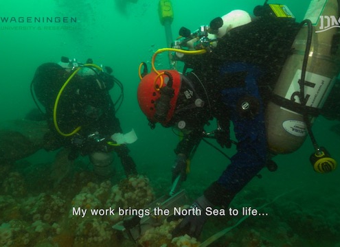 Scientific research in the North Sea