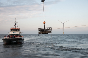 Oysters in a wind farm in the North Sea | © Udo van Dongen